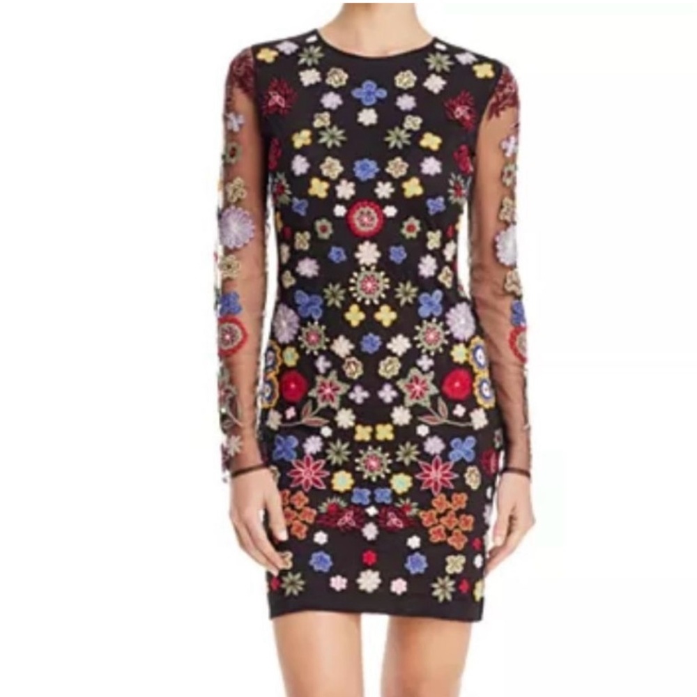 Aqua Capsule embroidered floral sheer dress! Size S